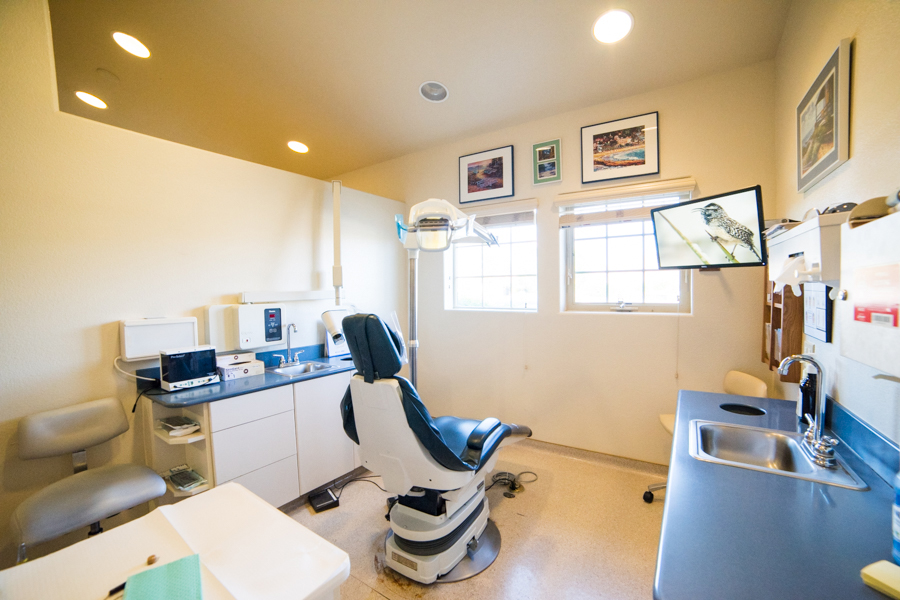 dentist treatment inside